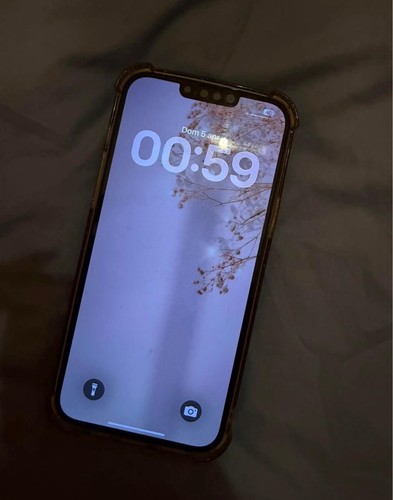 Iphone pro max 256 - 13,