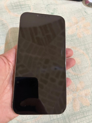 Iphone pro max 256gb - 13,